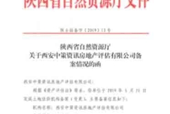 声誉资质 - 快盈VIII
