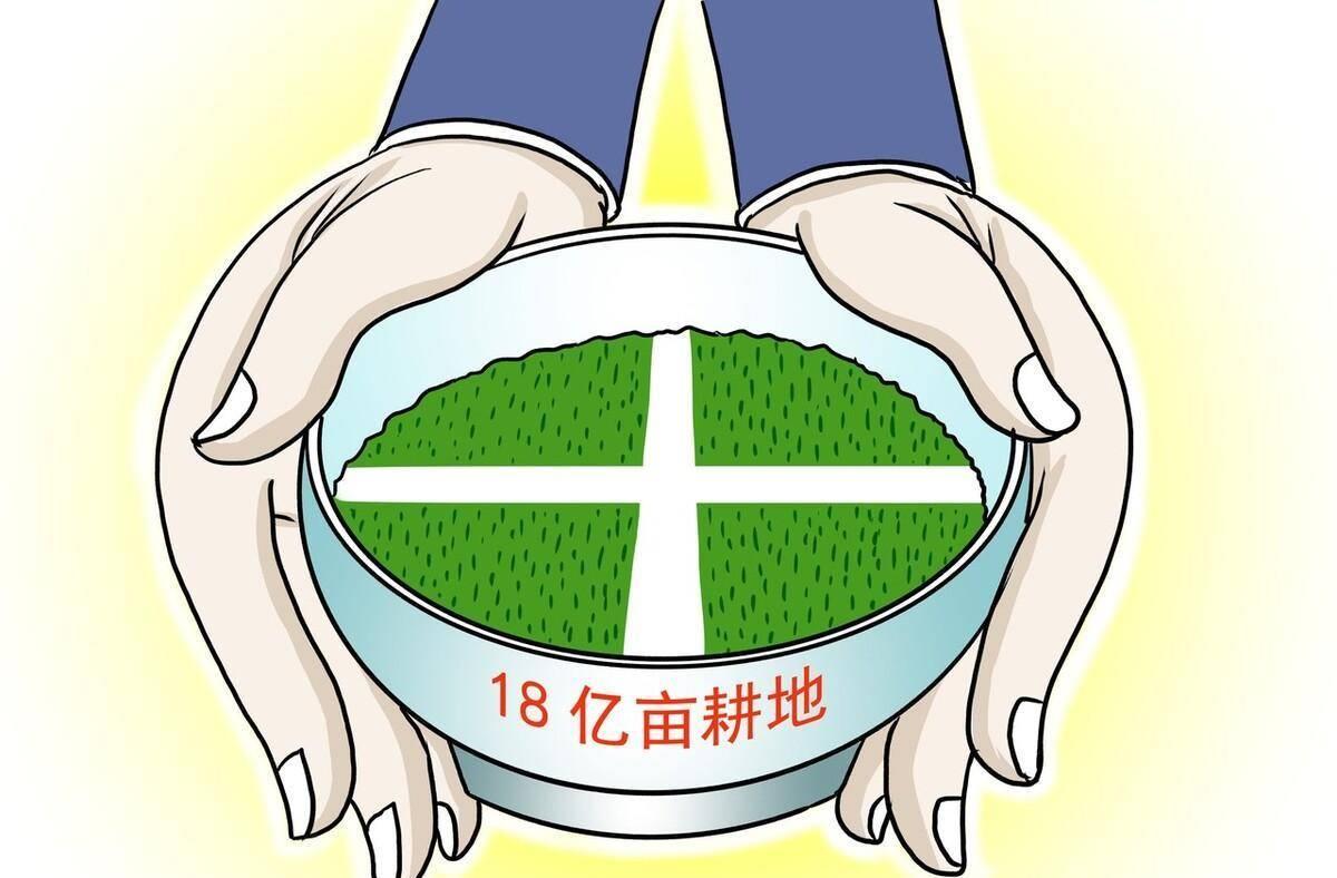 耕地“收支平衡”政策要点回首 - 行业新闻 - 快盈VIII