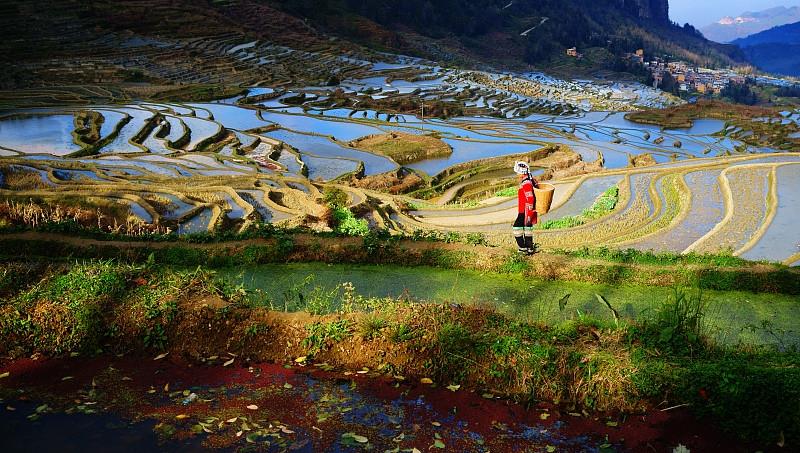 【思索】全域土地综合整治的实验逆境与对策 - 企业新闻 - 快盈VIII