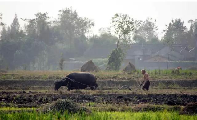 1-1Q031102152Y3 1-1Q031102152Y3