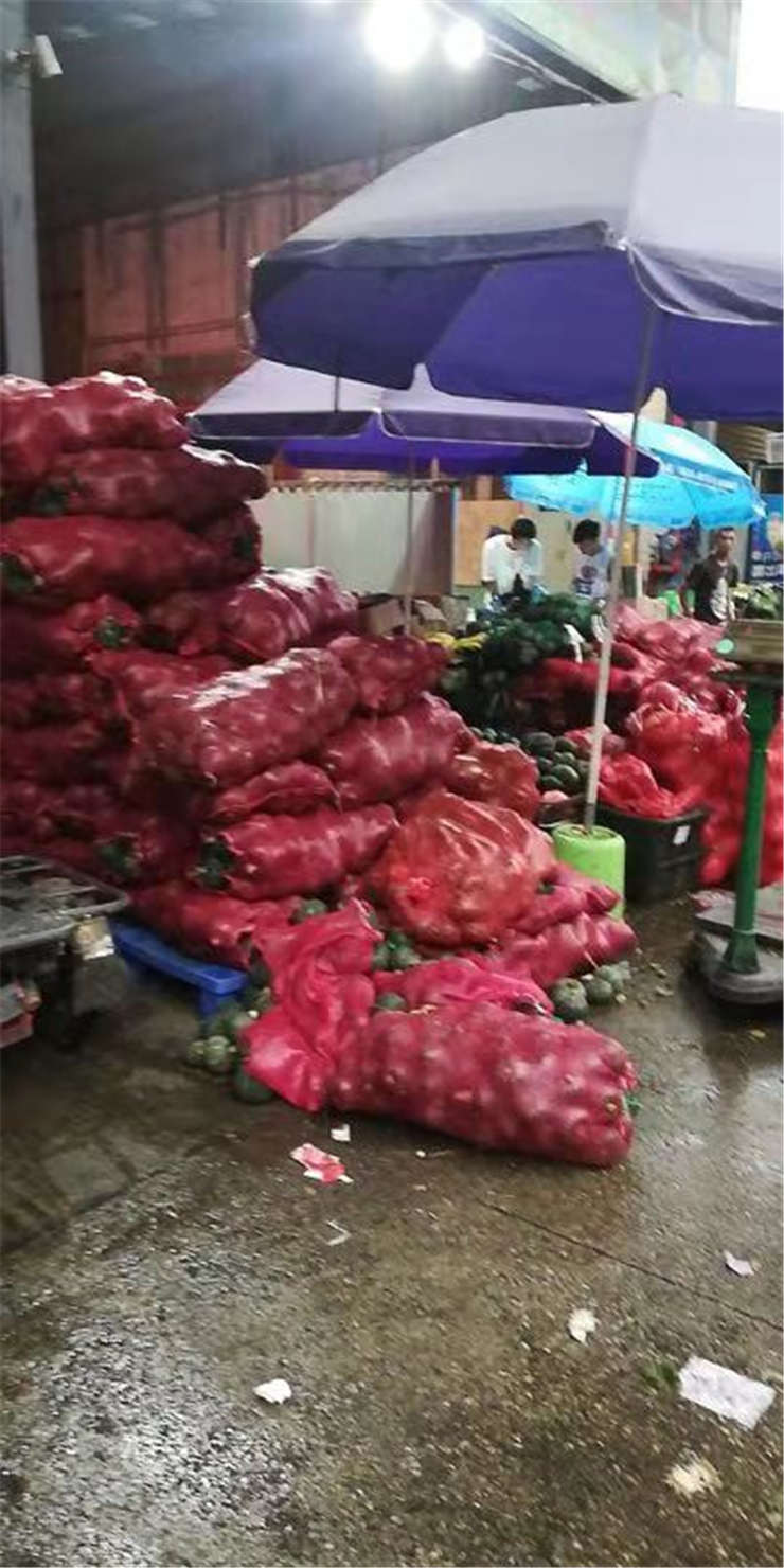 ��ҳ-SA��Ѷ���ٷ���վ