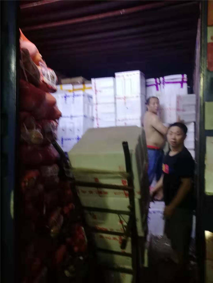 ��ҳ-SA��Ѷ���ٷ���վ