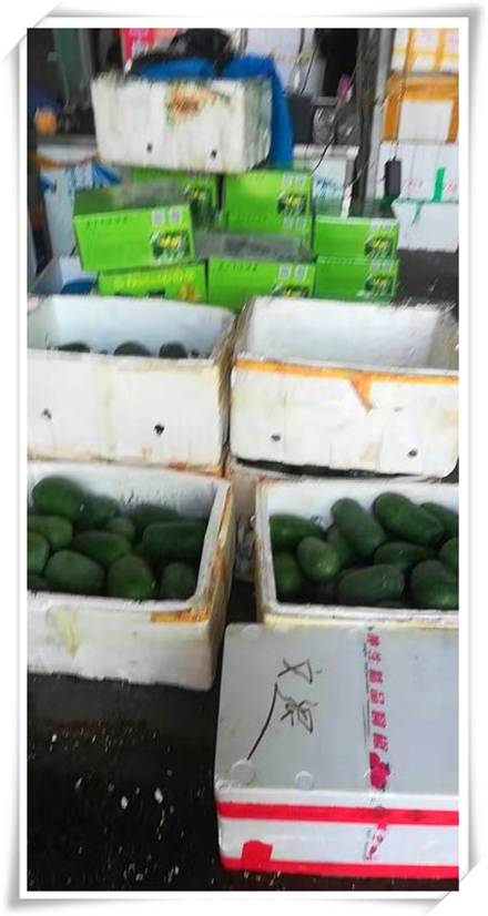 ��ҳ-SA��Ѷ���ٷ���վ