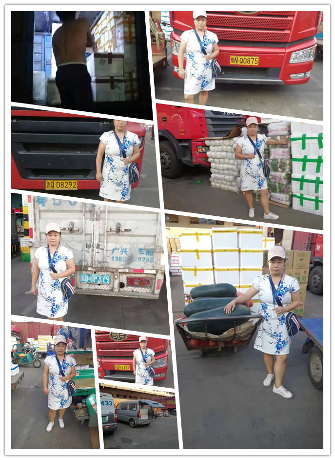 ��ҳ-SA��Ѷ���ٷ���վ