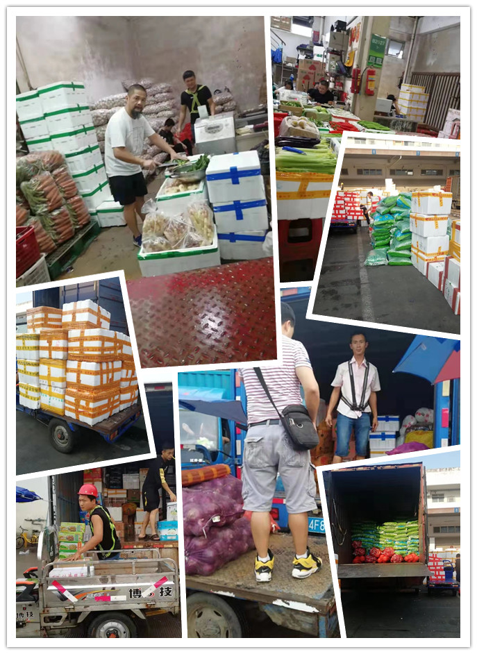 ��ҳ-SA��Ѷ���ٷ���վ