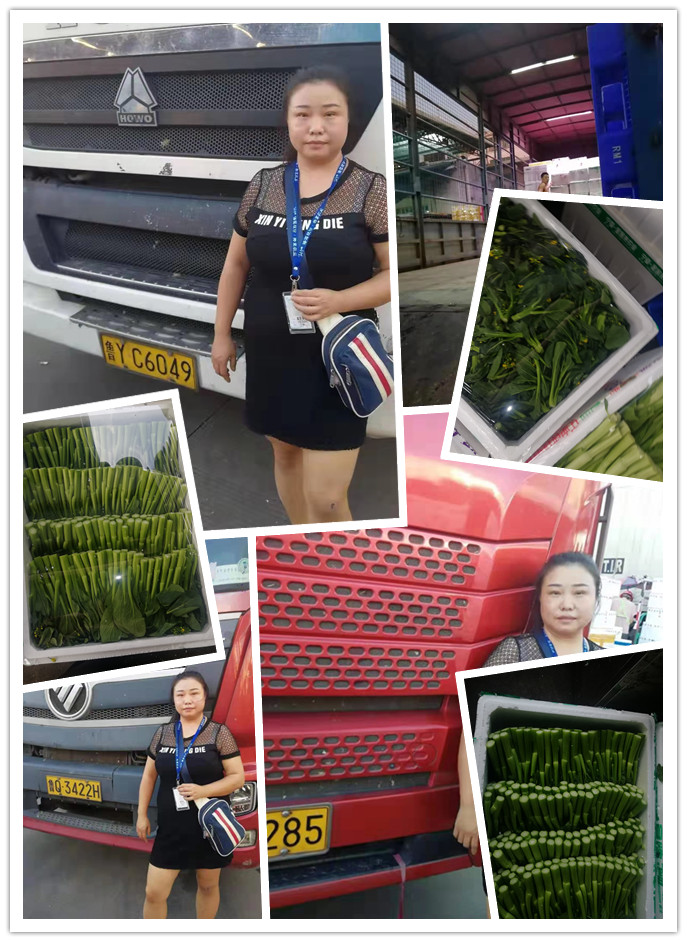 ��ҳ-SA��Ѷ���ٷ���վ