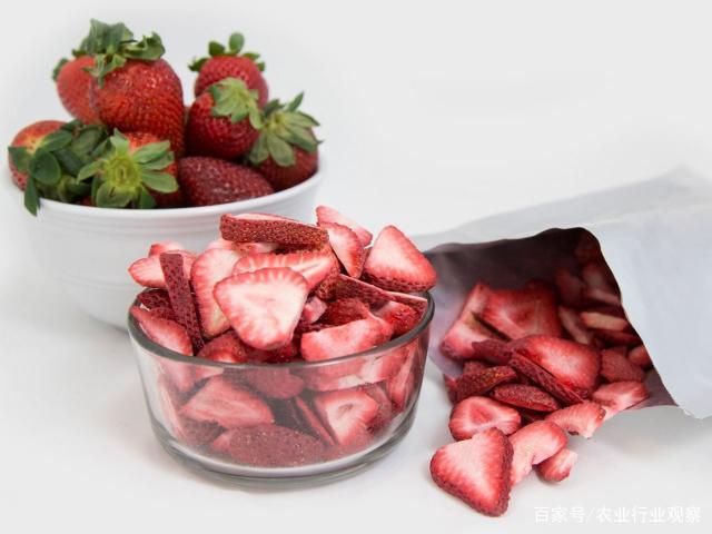 ��ҳ-SA��Ѷ���ٷ���վ