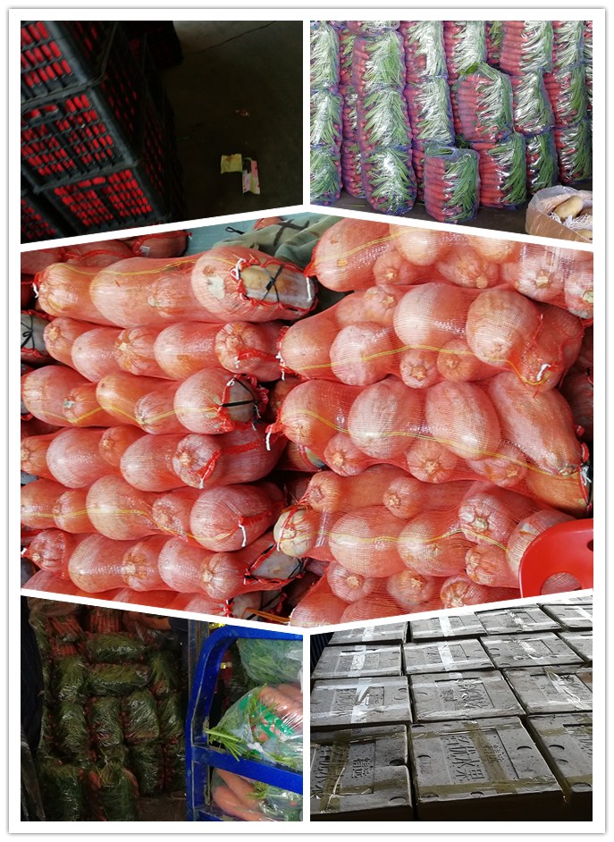 ��ҳ-SA��Ѷ���ٷ���վ