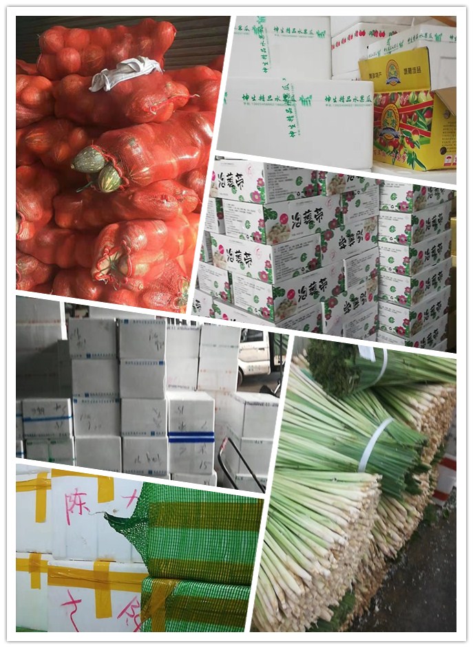 ��ҳ-SA��Ѷ���ٷ���վ