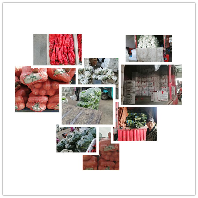 ��ҳ-SA��Ѷ���ٷ���վ