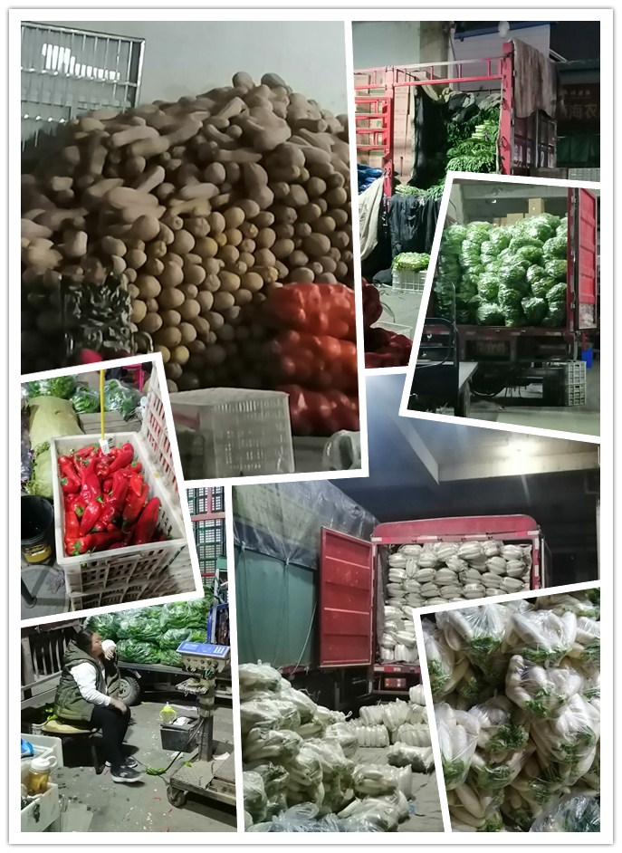 ��ҳ-SA��Ѷ���ٷ���վ