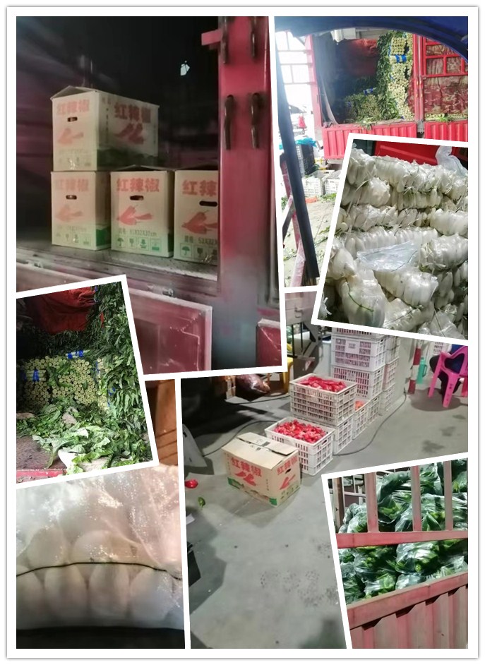 ��ҳ-SA��Ѷ���ٷ���վ