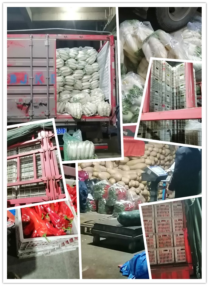 ��ҳ-SA��Ѷ���ٷ���վ