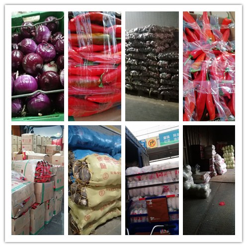 ��ҳ-SA��Ѷ���ٷ���վ