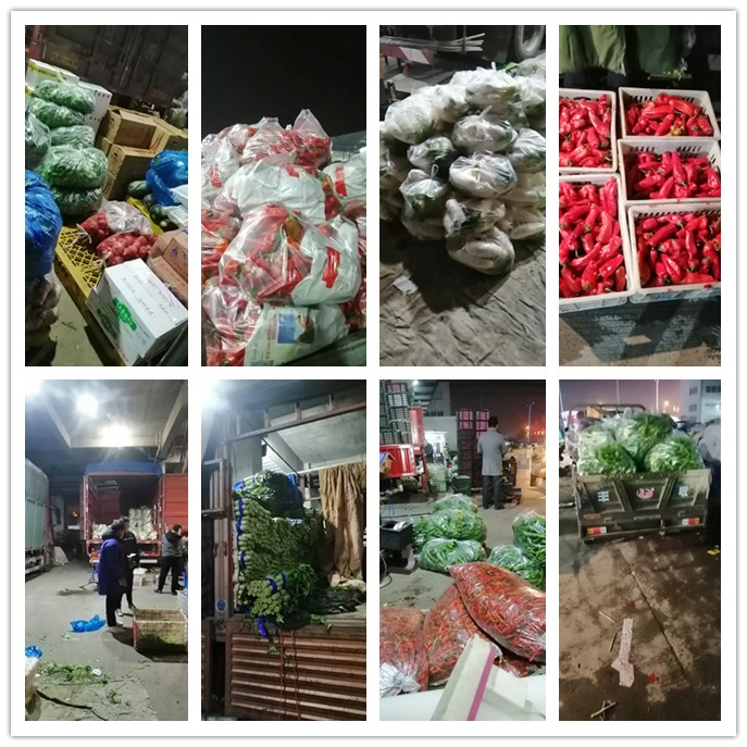 ��ҳ-SA��Ѷ���ٷ���վ