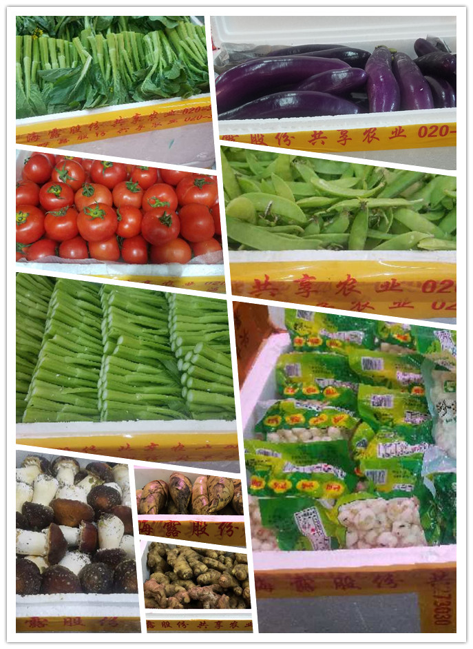 ��ҳ-SA��Ѷ���ٷ���վ