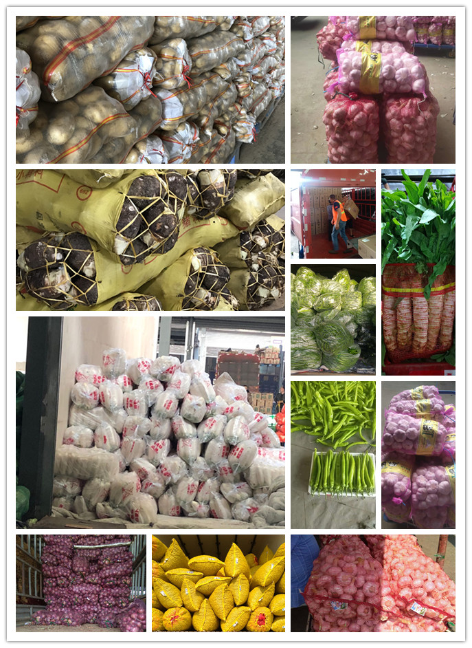 ��ҳ-SA��Ѷ���ٷ���վ