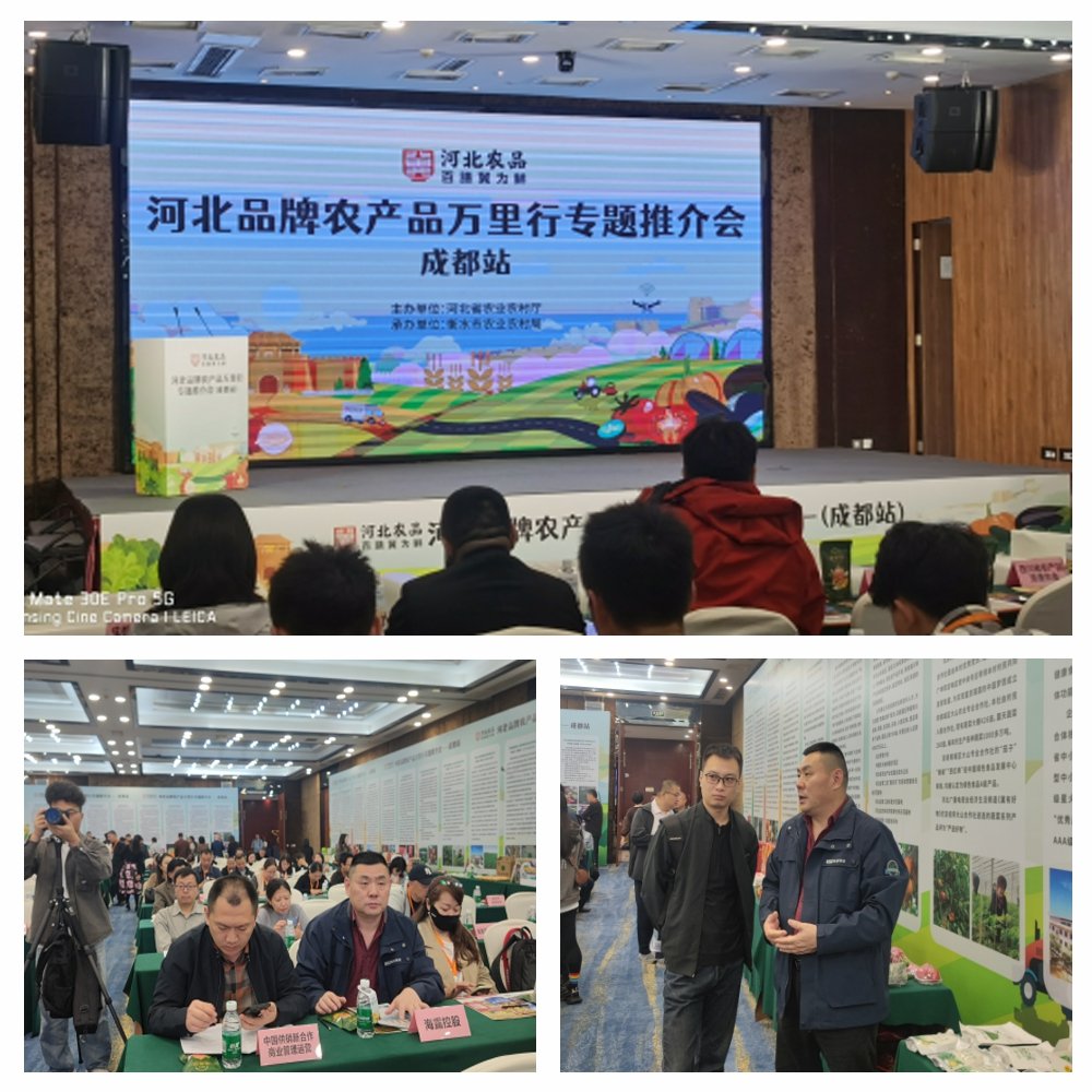 1-24102416292DM 首页-SA视讯厅官方网站