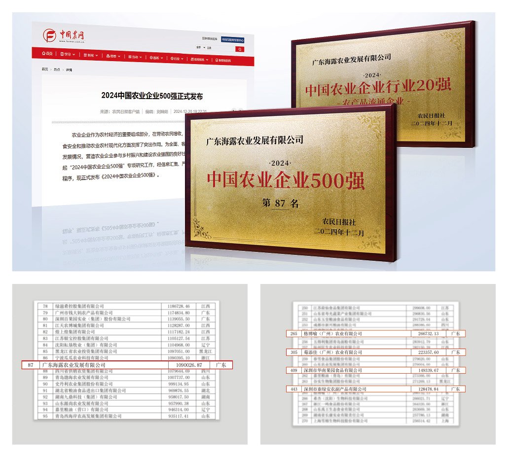 1-2412240943523B Ê×Ò³-SAÊÓѶÌü¹Ù·½ÍøÕ¾