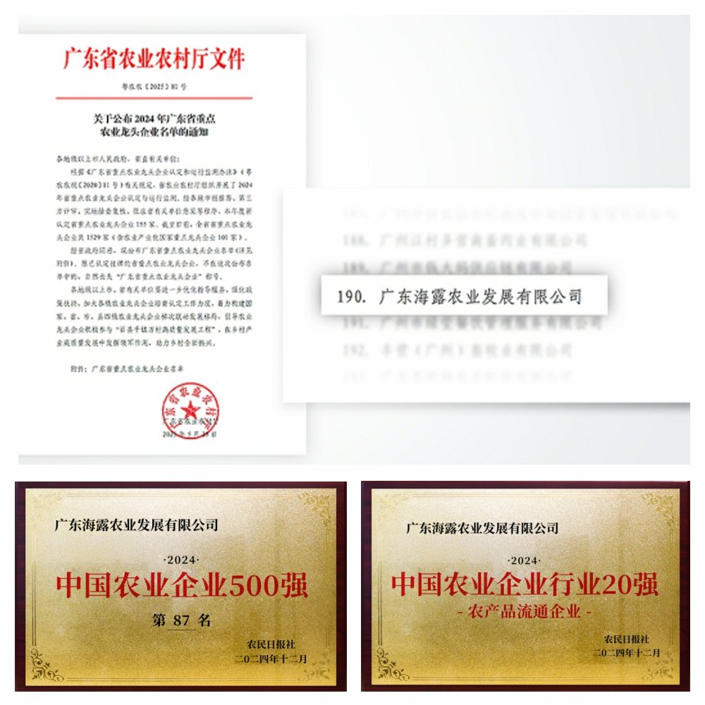 1-2506051411103H 首页-SA视讯厅官方网站